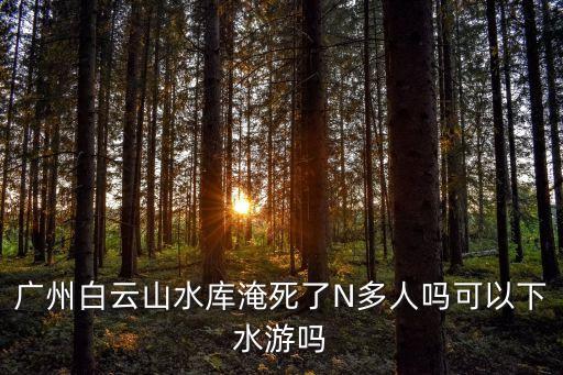 廣州游泳溺亡事件，廣州市海珠星輝園 游泳池2010年7月13號發生了什么事