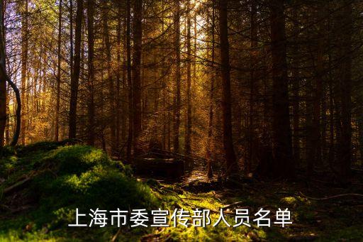 上海市成雨，上海市委宣傳部人員名單