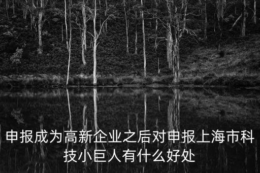 申報成為高新企業之后對申報上海市科技小巨人有什么好處