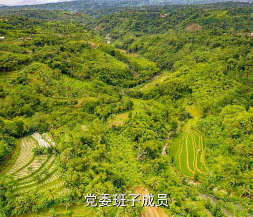 上海市規劃和自然資源局領導班子，黨委班子成員