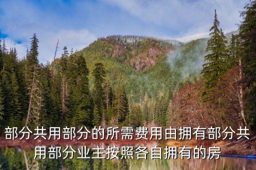 上海市住宅物業管理規定 修訂，部分共用部分的所需費用由擁有部分共用部分業主按照各自擁有的房
