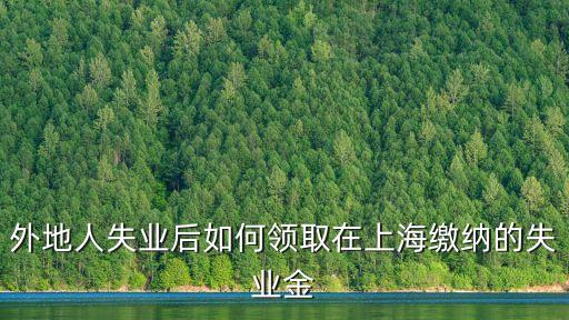 外地人失業(yè)后如何領(lǐng)取在上海繳納的失業(yè)金