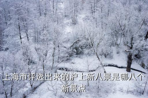 上海市幼兒園游戲案例征集評選結果，上海奉賢區南橋幼兒園