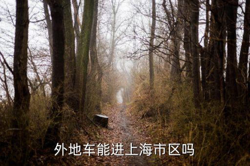 外地車進入上海市，外地車能進上海市區嘛有沒有甚么限制