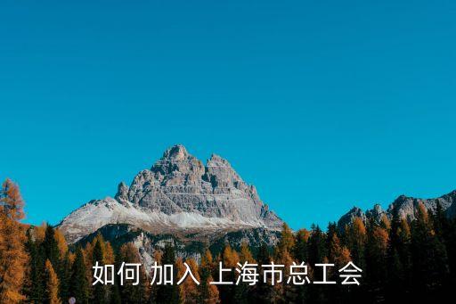 工會聯合會上海市總工會，如何 加入 上海市總工會