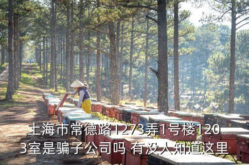 上海市常德路1273弄1號樓1203室是騙子公司嗎 有沒人知道這里