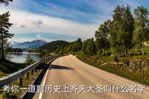 車(chē)奉朝，孫悟空的資料