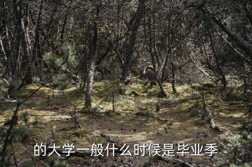 的大學(xué)一般什么時(shí)候是畢業(yè)季