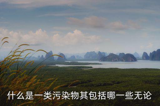 上海市環保局  一類污染物，什么是一類污染物其包括哪一些無論
