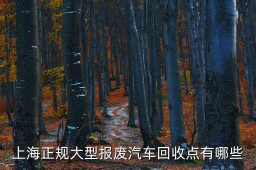 上海市折報廢貨車地址，上海哪里有二手貨車交易市場