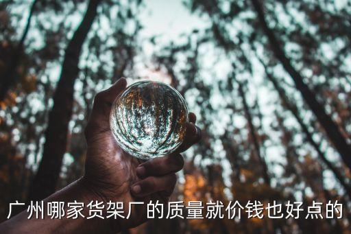 廣州貨架廠家哪家好圖，廣州哪家貨架廠的質量就價錢也好點的