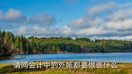 請問會計中的外帳都要做些什么