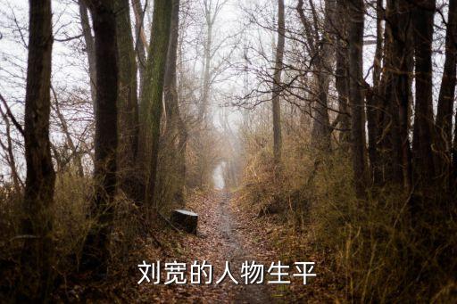 廣州市中級*劉寬，劉寬的人物生平