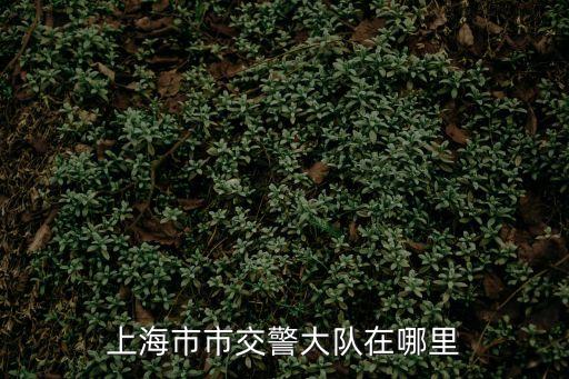 上海市交通委在哪，上海市區(qū)交通委主任屬正處嗎