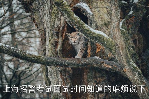 上海招警考試面試時間知道的麻煩說下