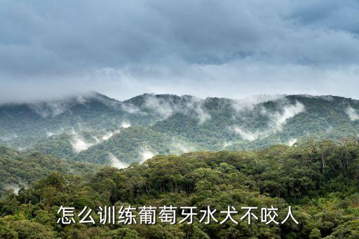 水犬，葡萄牙水犬可以看家嗎 葡萄牙水犬可以看家的