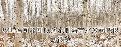 蜜蠟石，黃蠟石和蜜蠟石是一個東西嗎