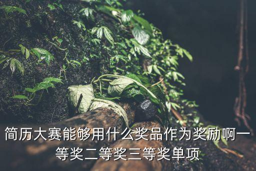 簡歷設(shè)計(jì)大賽，簡歷設(shè)計(jì)大賽策劃書怎樣寫