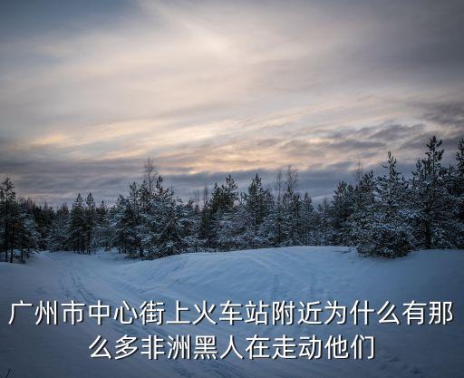 廣東省廣州市非洲人，在廣州有很多非洲人嗎