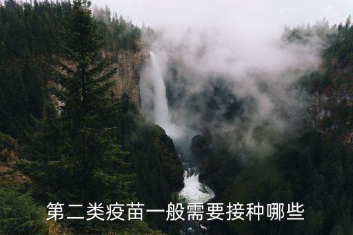 上海市第二類疫苗免疫程序，第二類疫苗一般需要接種哪些