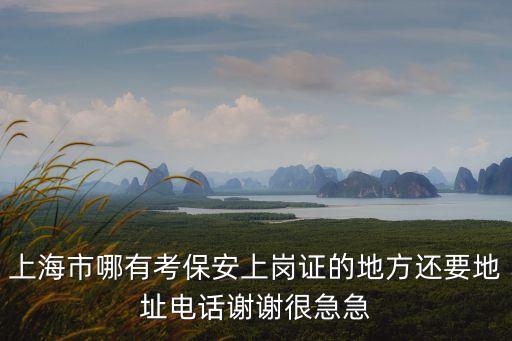 上海市嘉定區在哪里考保安證，上海市哪有考保安上崗證的地方還要地址電話謝謝很急急