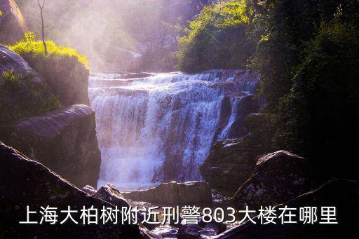 上海市特警總隊(duì)團(tuán)工委，上海刑警803是干嘛呢聽說執(zhí)行特別任務(wù)的