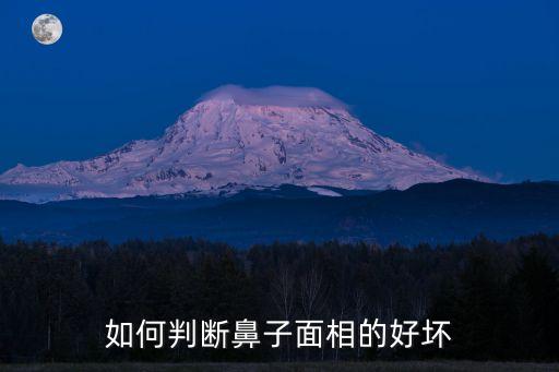 鼻子看相，如何判斷鼻子面相的好壞