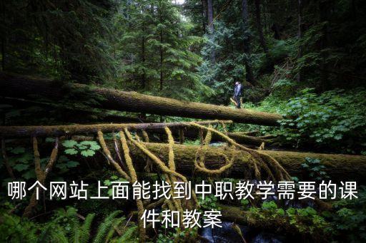 上海市中職精品課程資源網，能提供一個有中職英語教學課件下載的網站嗎