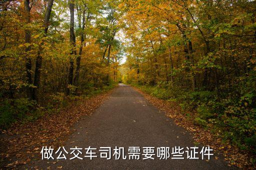 廣州公交司機應聘需要帶什么證件，廣州公交車司機應聘要帶什么證件