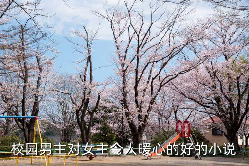 校園男主對女主令人暖心的好的小說
