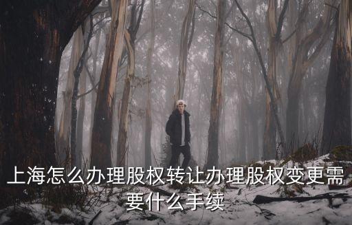 上海市創業投資企業股權轉讓，投資公司更名和股權變更轉讓