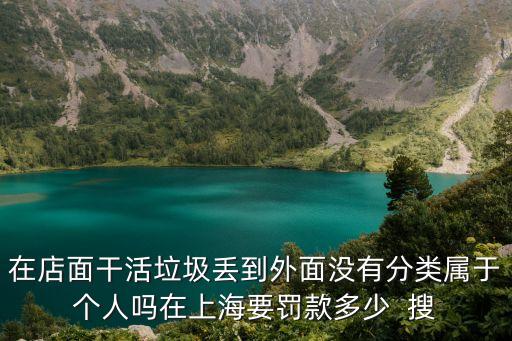 上海市人大對垃圾分類的檢查，在店面干活垃圾丟到外面沒有分類屬于個人嗎在上海要罰款多少  搜