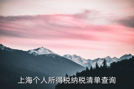 上海市稅務局電子服務廳，上海稅務查詢