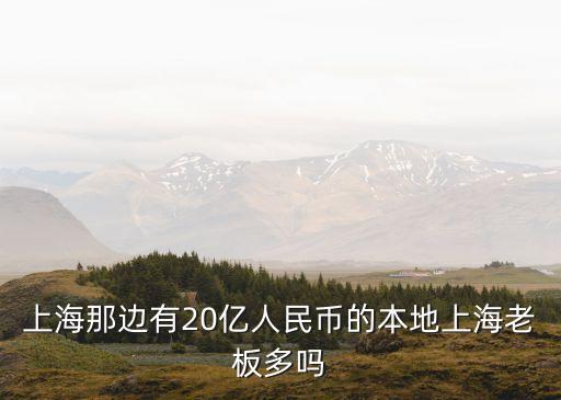 上海市隱形富豪，上海那邊有20億人民幣的本地上海老板多嗎
