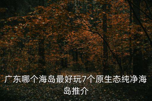 廣東哪個(gè)海島最好玩7個(gè)原生態(tài)純凈海島推介
