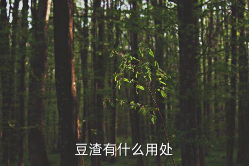 豆渣，豆渣有什么用途