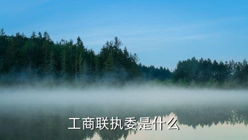 上海市工商聯執委，工商聯執委是什么