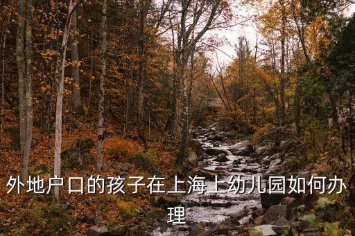 上海市幼兒園新生登記，2015年寶山區幼兒園報名要在網上注冊信息嗎