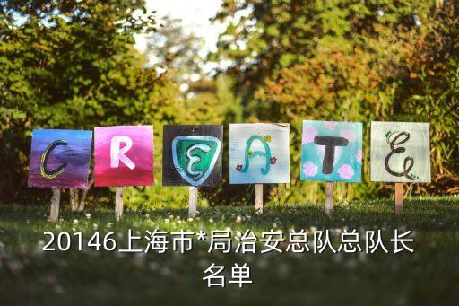 上海市治安總隊(duì)隊(duì)長(zhǎng)助理，20146上海市*局治安總隊(duì)總隊(duì)長(zhǎng)名單