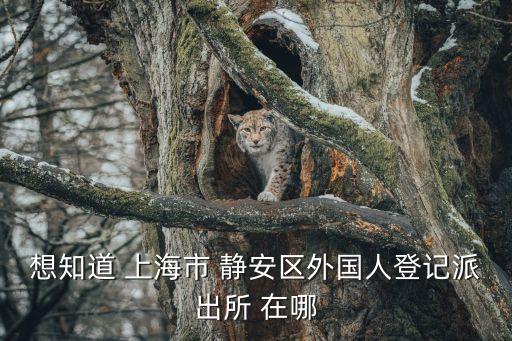 上海市廣粵路派出所，想知道 上海市 靜安區(qū)外國(guó)人登記派出所 在哪