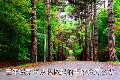 禁毒手抄報一等獎，禁毒知識手抄報