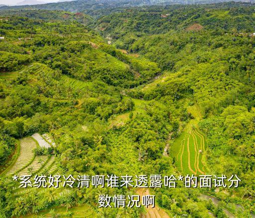 上海市*進(jìn)面分?jǐn)?shù)，省直*得多少分才能進(jìn)面試啊