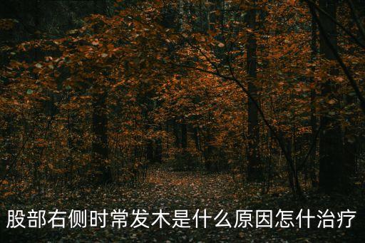 股部，股骨是什么部位