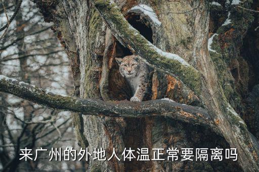 廣州*期外省市人員進出要求，來廣州的外地人體溫正常要隔離嗎