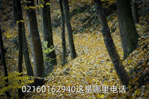 上海市海關采購 電話，02156357371 上海是什么公司電話