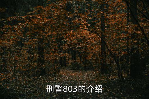 上海市刑偵總隊(duì)曹，上海市*局刑偵總隊(duì)總隊(duì)長(zhǎng)是副廳級(jí)干部嗎