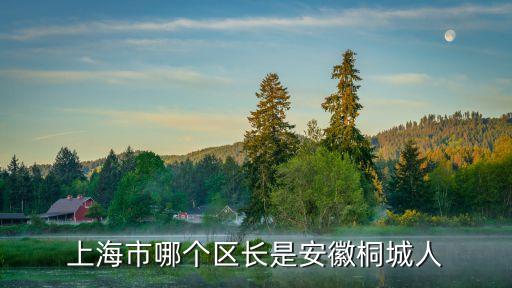 上海市閔行區前任區長，閔行區區長叫什么名字