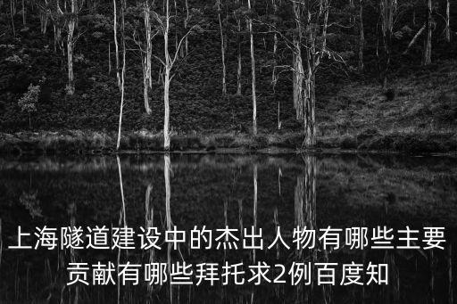 2014年上海市建設(shè)功臣，請問一下上海于2014年建立哪4條新的軌道交通線
