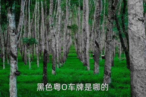 廣州外資企業(yè)車牌，廣州外資公司是否能申請免費(fèi)車牌