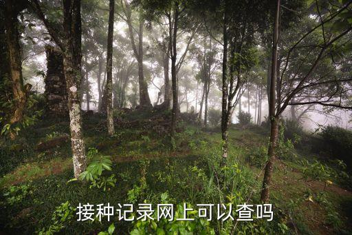 上海市疫苗接種查詢，接種記錄網上可以查嗎